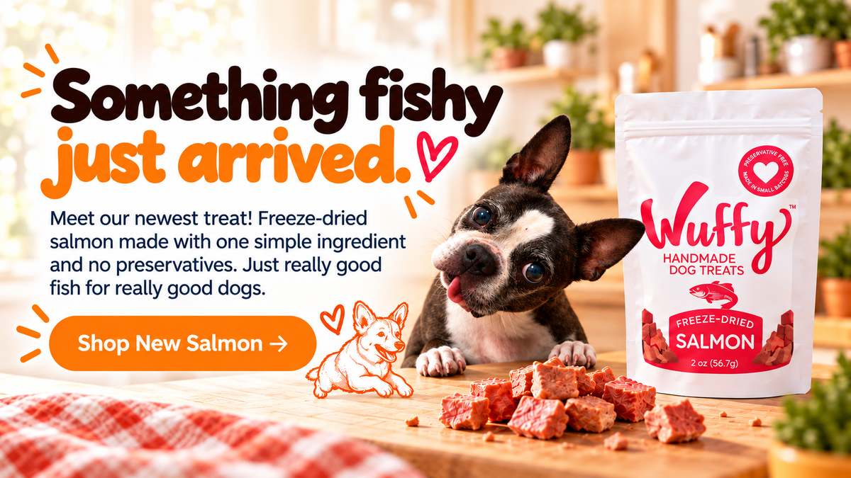 New Freeze Dried Salmon Dog Treat